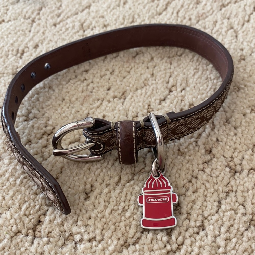 Authentic Coach Dog Collar